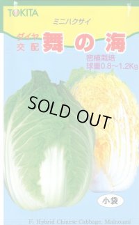 送料無料　[白菜]　舞の海　2ml　トキタ種苗(株)