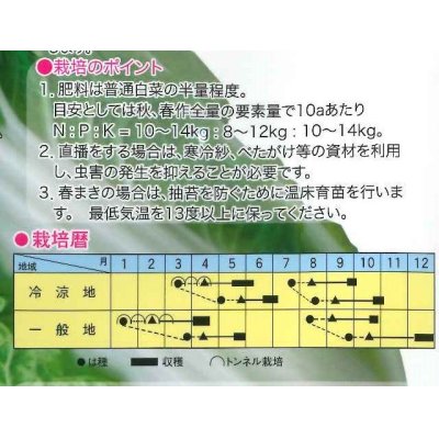 画像2: [白菜]　娃々菜　春秋用　1g（約300粒）　トキタ種苗（株）