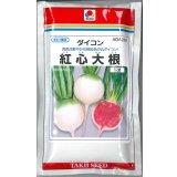 送料無料　[大根]　長安青丸　紅心大根　1dl　タキイ種苗(株)