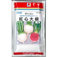 送料無料　[大根]　長安青丸　紅心大根　1dl　タキイ種苗(株)