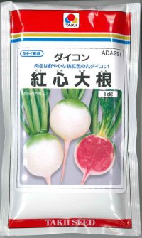 送料無料　[大根]　長安青丸　紅心大根　1dl　タキイ種苗(株)