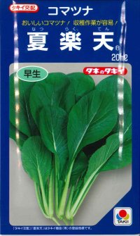 [小松菜]　送料無料！　夏楽天　1L　タキイ種苗（株）