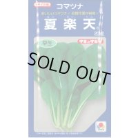[小松菜] 夏楽天 20ml タキイ種苗(株)