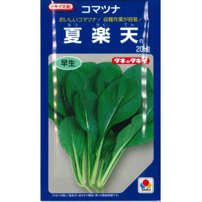 画像1: [小松菜]　夏楽天　20ml　タキイ種苗（株）