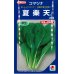 画像1: [小松菜]　送料無料！　夏楽天　1L　タキイ種苗（株） (1)