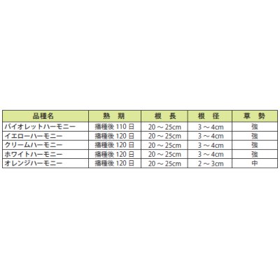 画像3: [人参]　オレンジハーモニー　1000粒　　丸種（株）