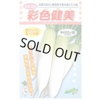 送料無料　[大根]　彩色健美　3ml　松永種苗(株)