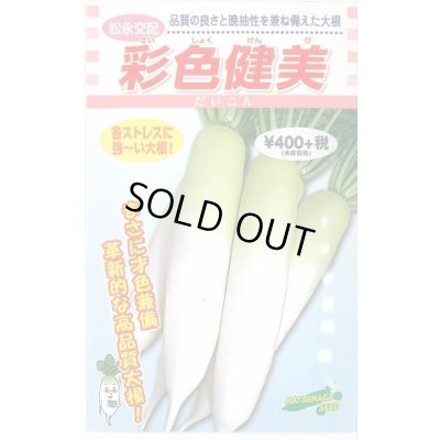 画像1: 送料無料　[大根]　彩色健美　3ml　松永種苗(株)