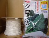 [シーダー種子]　ほうれんそう　クロノス　1粒×5cm間隔