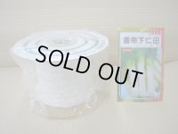 [シーダー種子]　ネギ　雷帝下仁田　1粒×10cm間隔