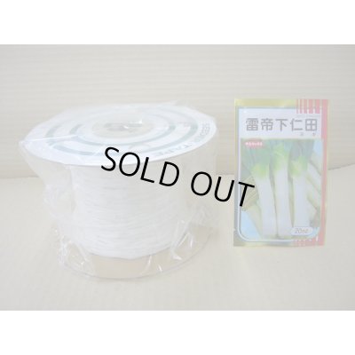 画像1: [シーダー種子]　ネギ　雷帝下仁田　1粒×10cm間隔