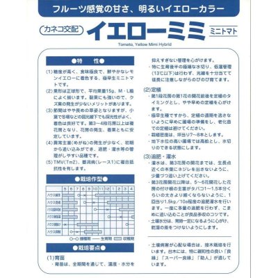 画像4: [トマト/ミニトマト]　送料無料！　イエローミミ　コート600粒　カネコ交配