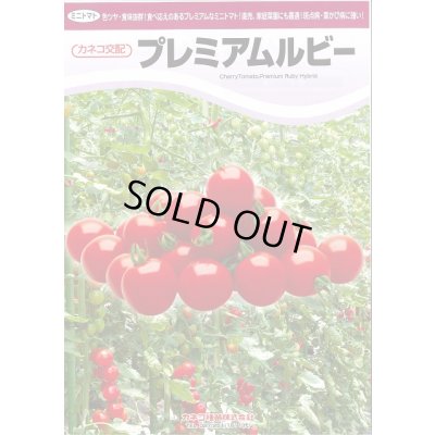 画像5: 送料無料　[トマト/ミニトマト]　プレミアムルビー　1000粒　カネコ種苗（株）