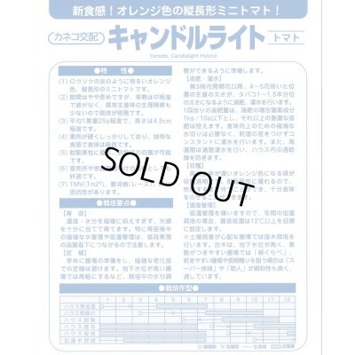 画像4: 送料無料　[トマト/ミニトマト]　キャンドルライト　1000粒　カネコ種苗（株）