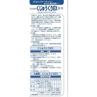 画像4: [かぼちゃ]　送料無料！　くじゅうくりEX南瓜　500粒　カネコ交配