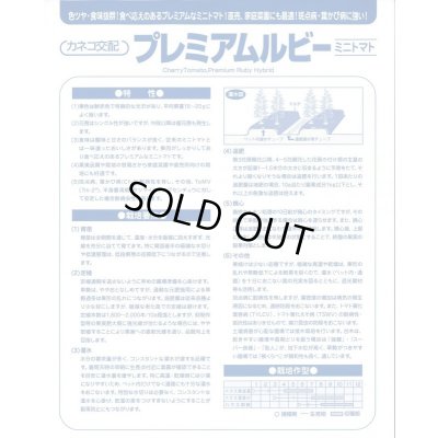 画像6: 送料無料　[トマト/ミニトマト]　プレミアムルビー　1000粒　カネコ種苗（株）