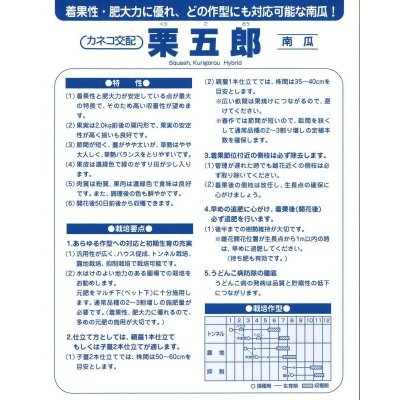 画像4: [かぼちゃ]　送料無料！　栗五郎　1000粒　カネコ交配