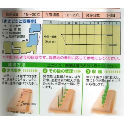 画像3: [えんどう]　実エンドウ　ウスイ　1L　タキイ種苗