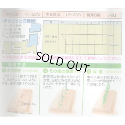 画像3: [えんどう]　実エンドウ　ウスイ　1L　タキイ種苗