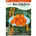 画像3: 送料無料　[トマト/ミニトマト]　キャンドルライト　1000粒　カネコ交配 (3)