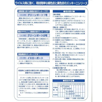 画像3: 送料無料　[ズッキーニ]　イエローボート　10粒　カネコ交配