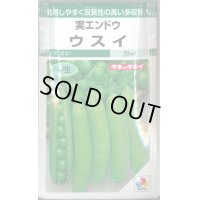 [えんどう]　実エンドウ　ウスイ　18ml　タキイ種苗　GF　