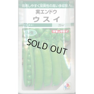 画像1: [えんどう]　実エンドウ　ウスイ　18ml　タキイ種苗　GF　