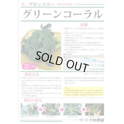画像2: 送料無料　[ブロッコリー]　グリーンコーラル　2000粒　大和農園