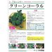 画像2: 送料無料　[ブロッコリー]　グリーンコーラル　0.5ml　大和農園 (2)