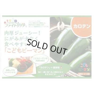 画像5: 送料無料　[ピーマン]　こどもピーマン　ピー太郎　27粒　タキイ種苗(株)　DF