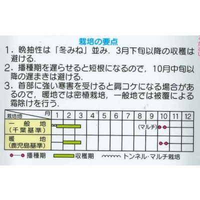 画像3: 送料無料　大根　冬みねセブン　20ml　(株)サカタのタネ