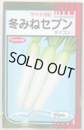 送料無料　大根　冬みねセブン　2dl　(株)サカタのタネ