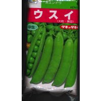 [えんどう]　実エンドウ　ウスイ　1L　タキイ種苗