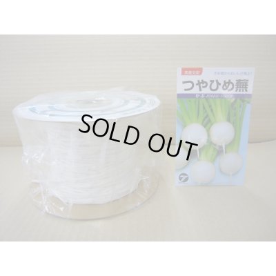 画像1: [シーダー種子]　かぶ　つやひめ　1粒×10cm間隔