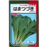 送料無料　[小松菜]　はまつづき　20ml　（株）サカタのタネ