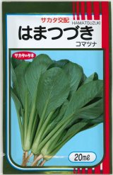 送料無料　[小松菜]　はまつづき　20ml　（株）サカタのタネ