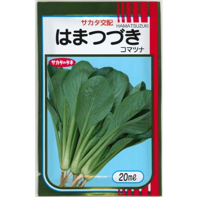 画像1: 送料無料　[小松菜]　はまつづき　20ml　（株）サカタのタネ