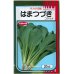 画像1: [小松菜]　はまつづき　20ｍｌ　サカタのタネ（株） (1)