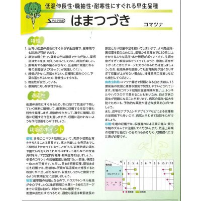 画像4: 送料無料　[小松菜]　はまつづき　2dl　（株）サカタのタネ