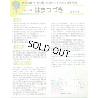 画像4: 送料無料 [小松菜] はまつづき 2dl （株）サカタのタネ