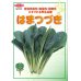 画像3: [小松菜]　はまつづき　20ｍｌ　サカタのタネ（株）