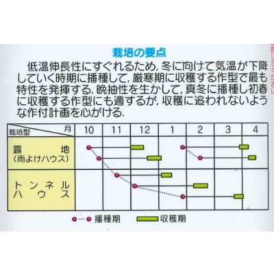 画像5: 送料無料　[小松菜]　はまつづき　2dl　（株）サカタのタネ