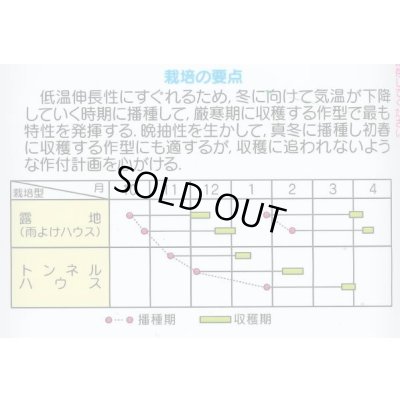 画像5: 送料無料 [小松菜] はまつづき 2dl （株）サカタのタネ