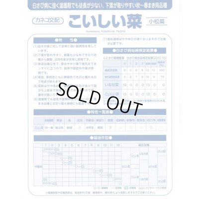 画像4: [小松菜]　こいしい菜　2dl　カネコ種苗（株）