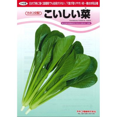 画像3: [小松菜]　こいしい菜　2dl　カネコ交配
