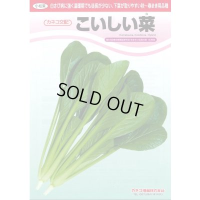 画像3: [小松菜]　こいしい菜　2dl　カネコ種苗（株）