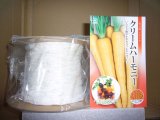 [シーダー種子]　にんじん　クリームハーモニー　1粒×6cm間隔