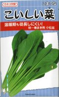 送料無料　[小松菜]　こいしい菜　20ml　カネコ交配