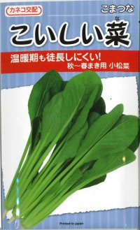 [小松菜]　こいしい菜　20ml　カネコ交配