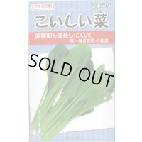 送料無料　[小松菜]　こいしい菜　20ml　カネコ種苗（株）